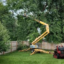 Best Tree Disease Treatment  in Ome, GA
