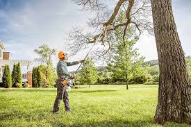 Best Soil Testing and Treatment  in Ome, GA