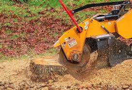 Best Arborist Consultation Services  in Ome, GA
