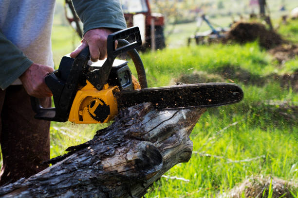 Lawn Watering Services in Omega, GA